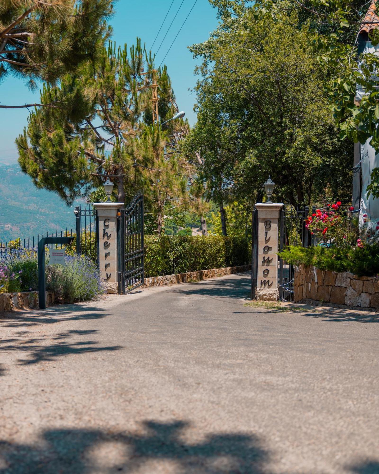 Cherry Blossom Boutique Hotel Bḩamdūn Dış mekan fotoğraf